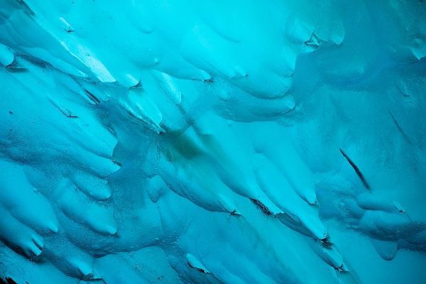 Alaska-Tracy Arm-Fords Terror Wilderness-Close-up of blue iceberg calved from Dawes Glacier